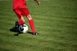 爱游戏体育-CBA球队加强后勤保障体系优化训练和比赛准备,cba后备联赛